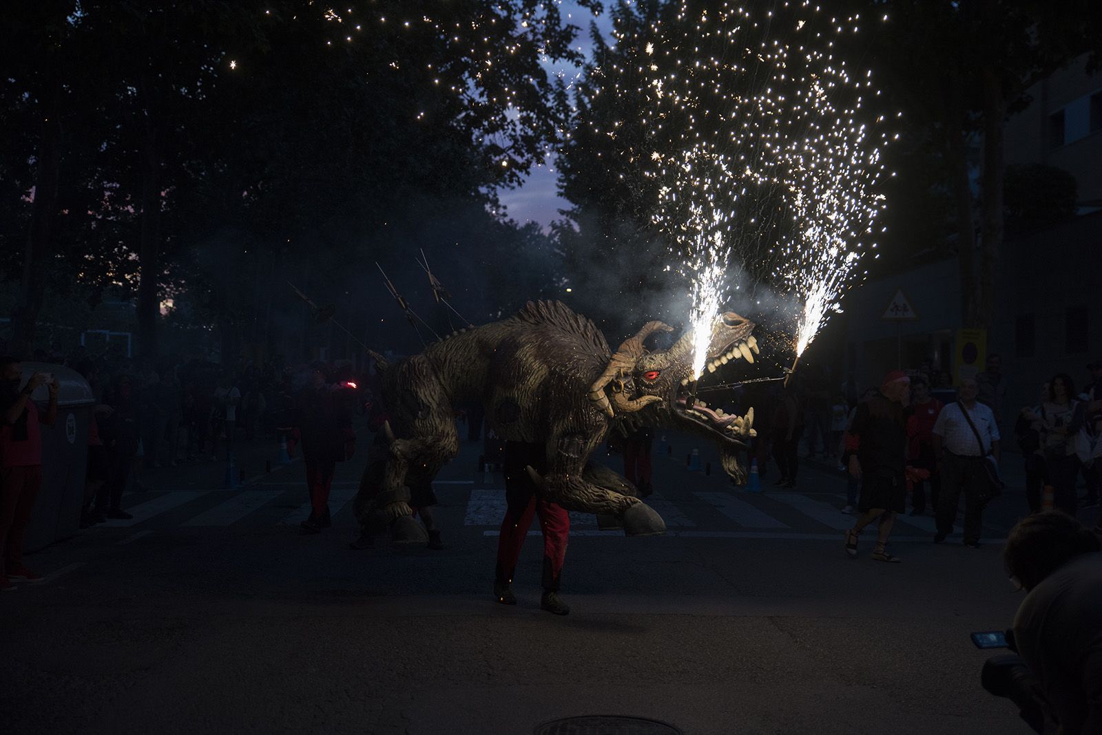 Corre, corre! El Boc ja és aquí!. FOTO: Bernat Millet.