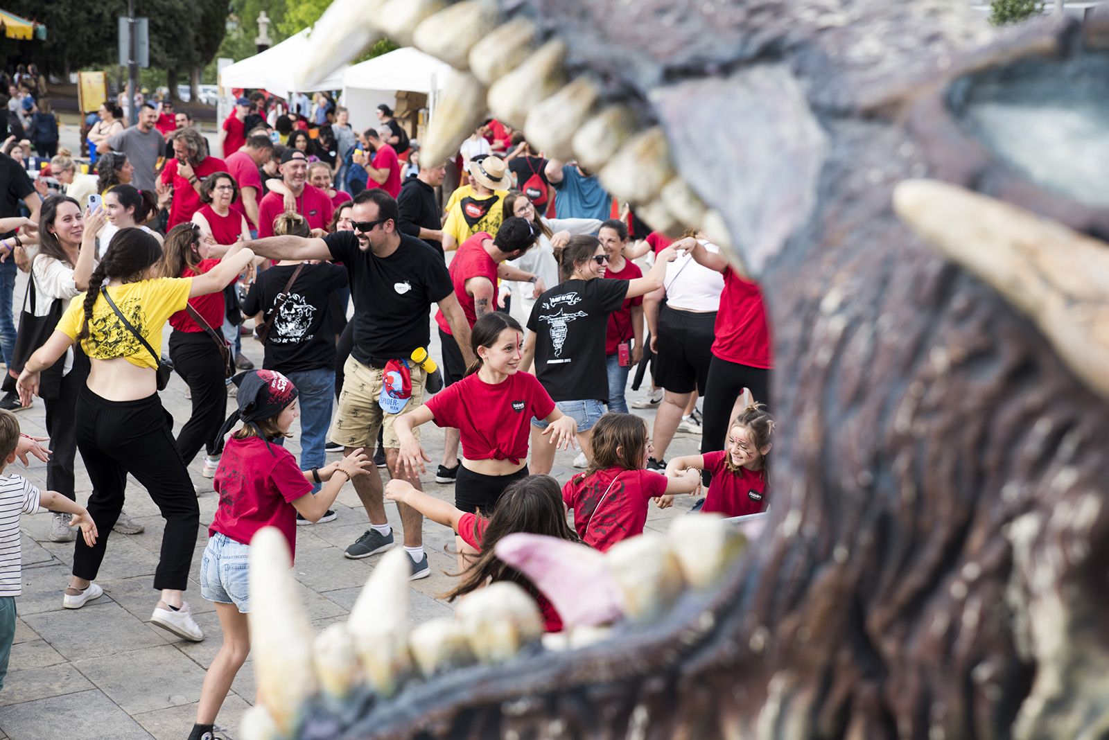 Festa de cloenda amb música punxada/ Karaoke. FOTO: Bernat Millet.