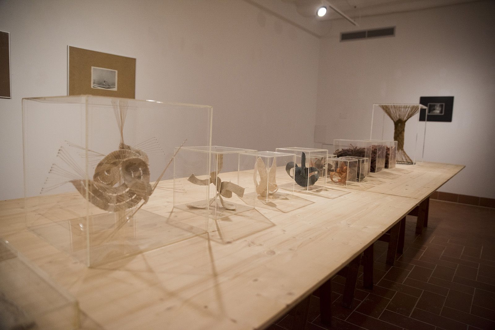 Nit dels museus. Centre Grau-Garriga. Foto: Bernat Millet