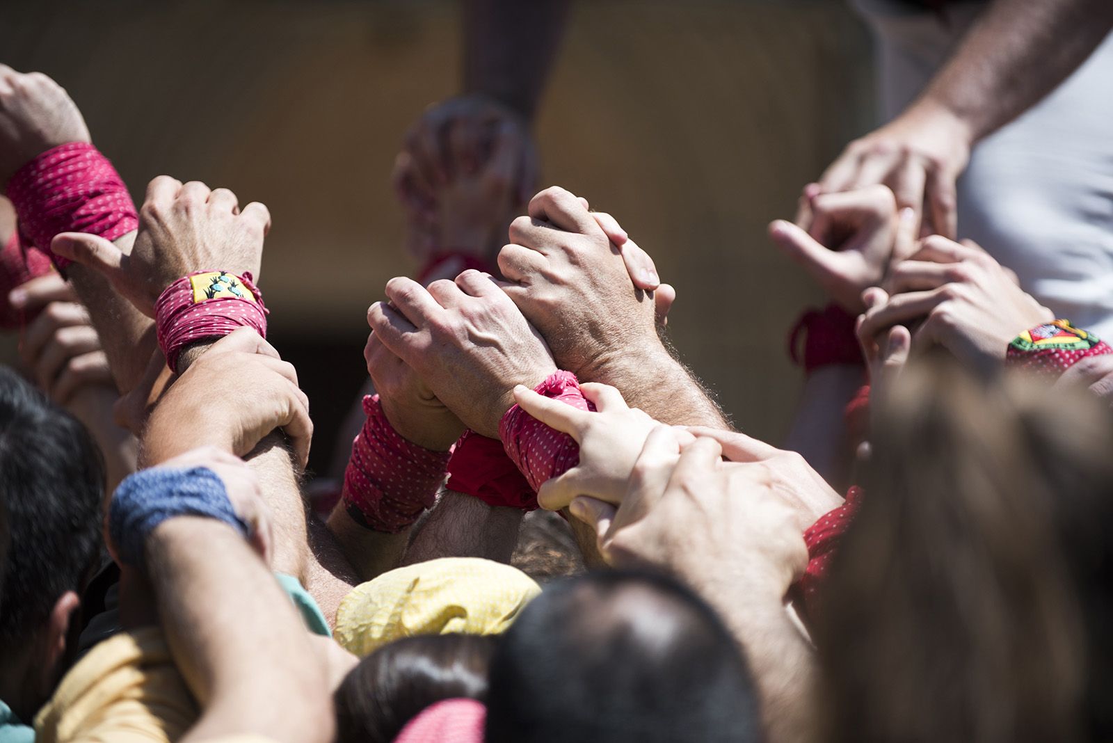 Diada de Sant Ponç dels Castellers de Sant Cugat. FOTO: Bernat Millet.