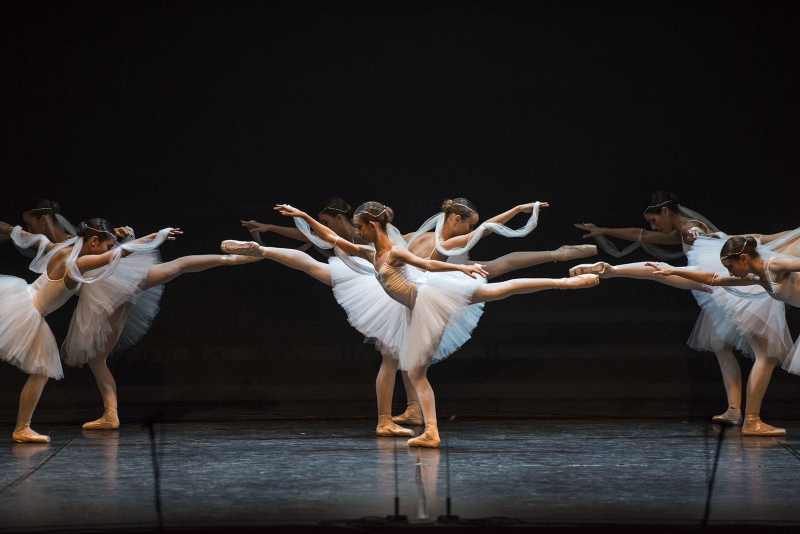 50 anys de Fusió al Teatre Auditori. FOTO: Bernat Millet.