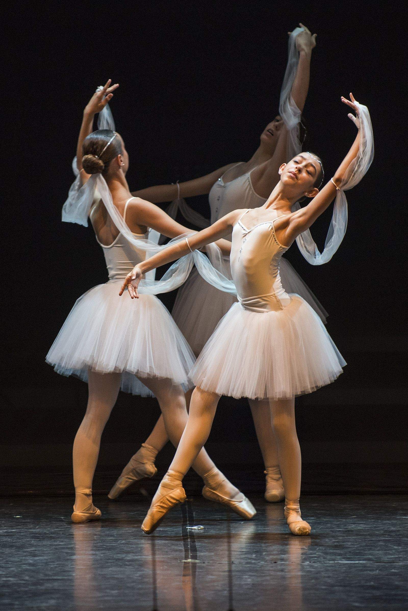 50 anys de Fusió al Teatre Auditori. FOTO: Bernat Millet.