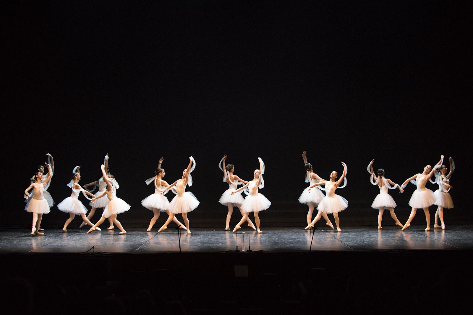50 anys de Fusió al Teatre Auditori. FOTO: Bernat Millet.