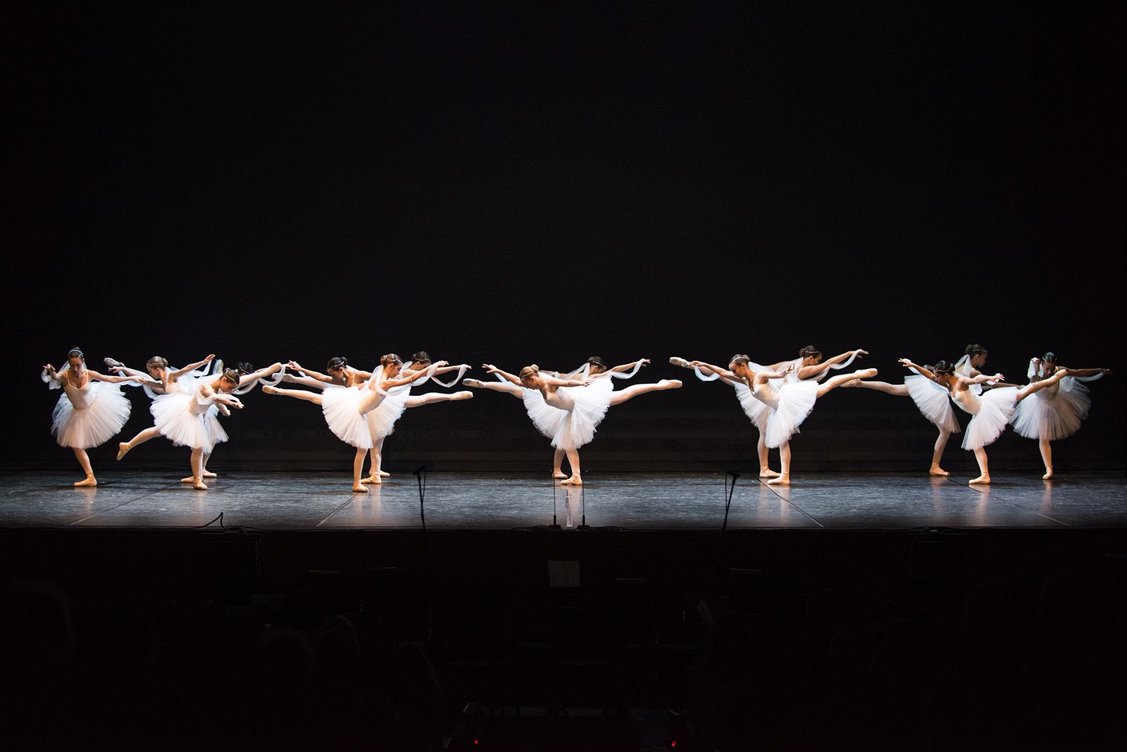50 anys de Fusió al Teatre Auditori. FOTO: Bernat Millet.