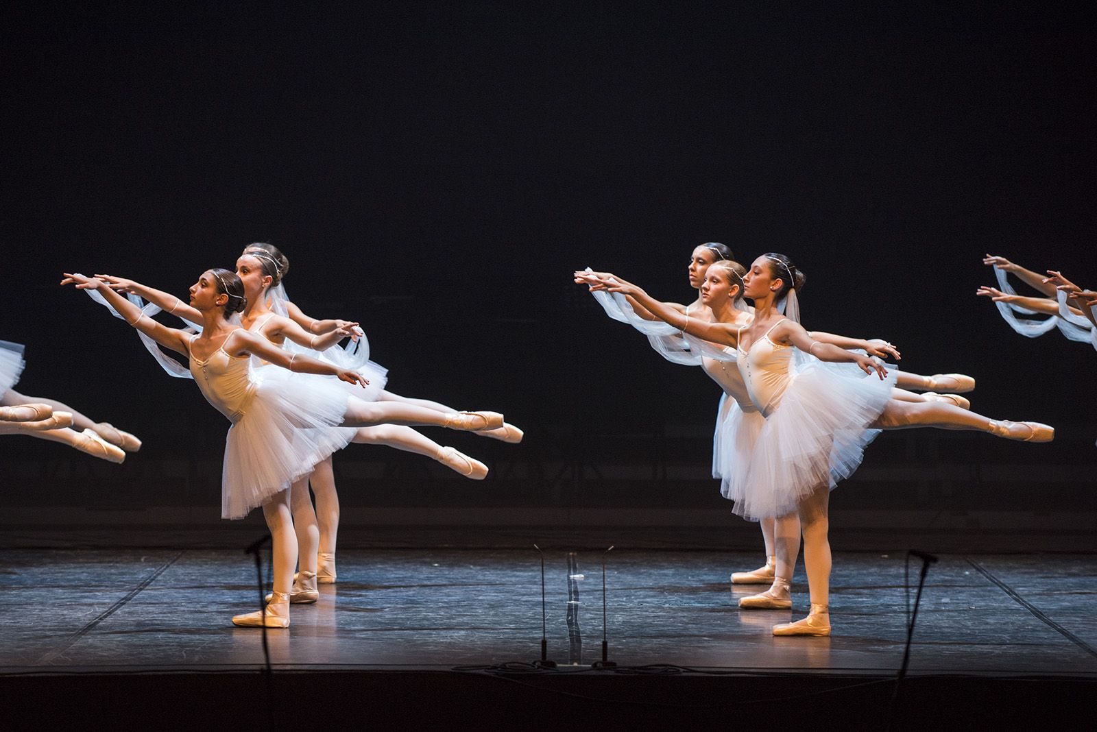 50 anys de Fusió al Teatre Auditori. FOTO: Bernat Millet.