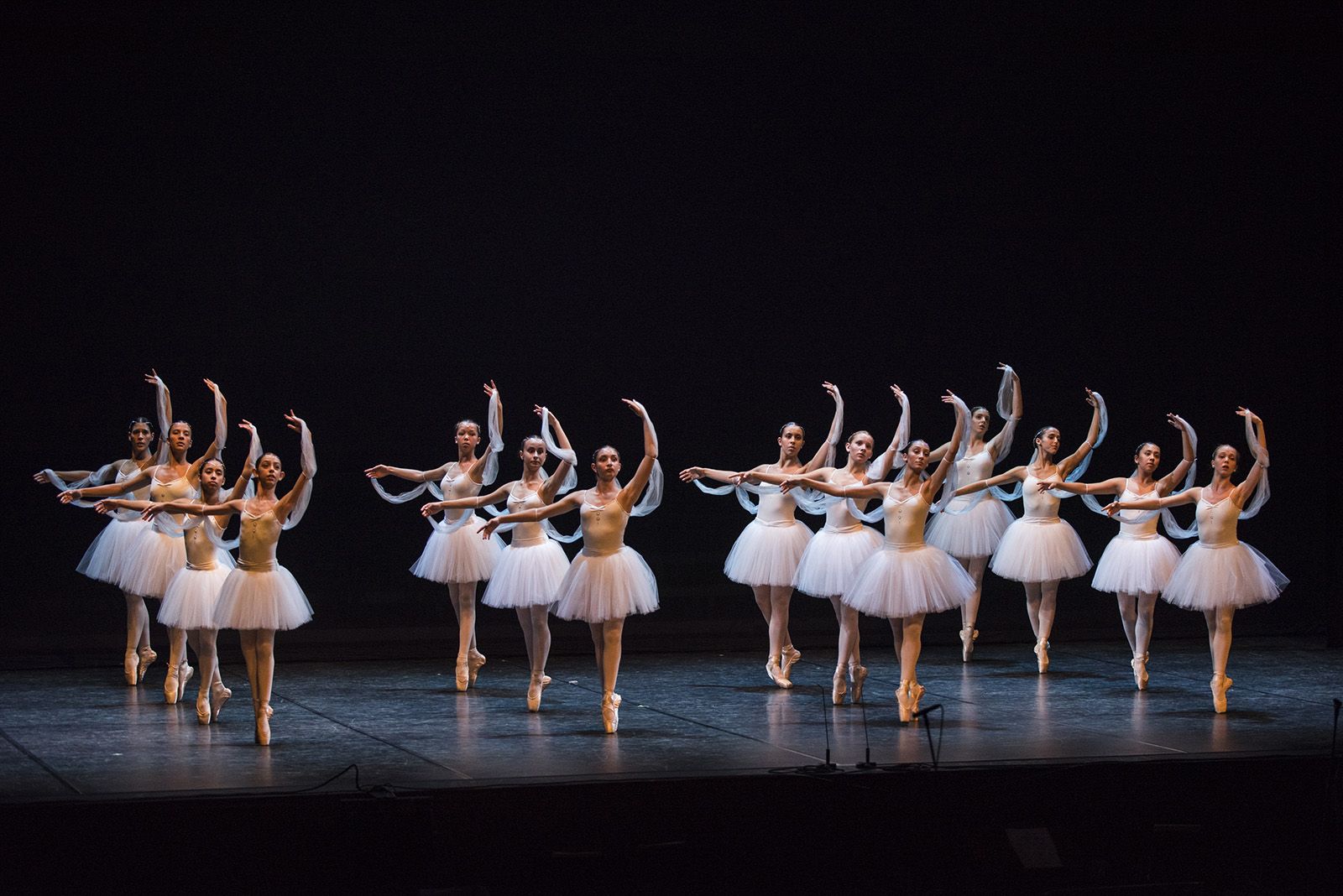 50 anys de Fusió al Teatre Auditori. FOTO: Bernat Millet.