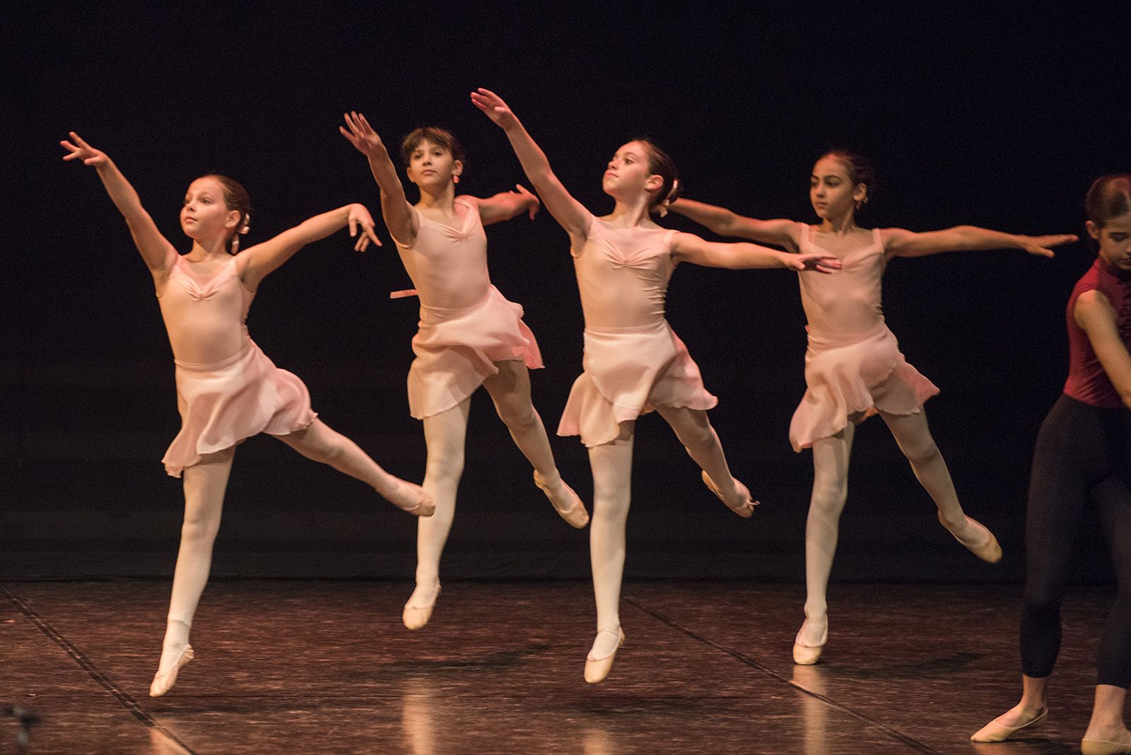 50 anys de Fusió al Teatre Auditori. FOTO: Bernat Millet.