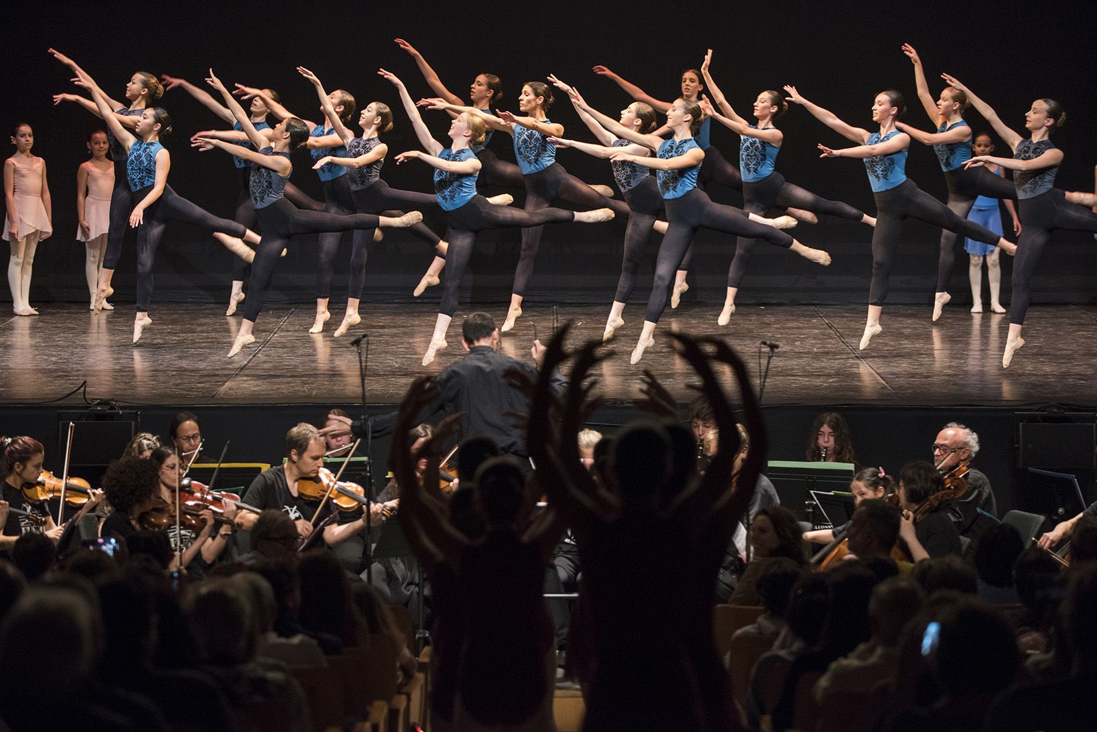 50 anys de Fusió al Teatre Auditori. FOTO: Bernat Millet.