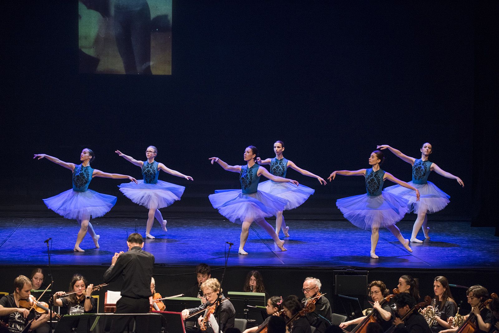 50 anys de Fusió al Teatre Auditori. FOTO: Bernat Millet.