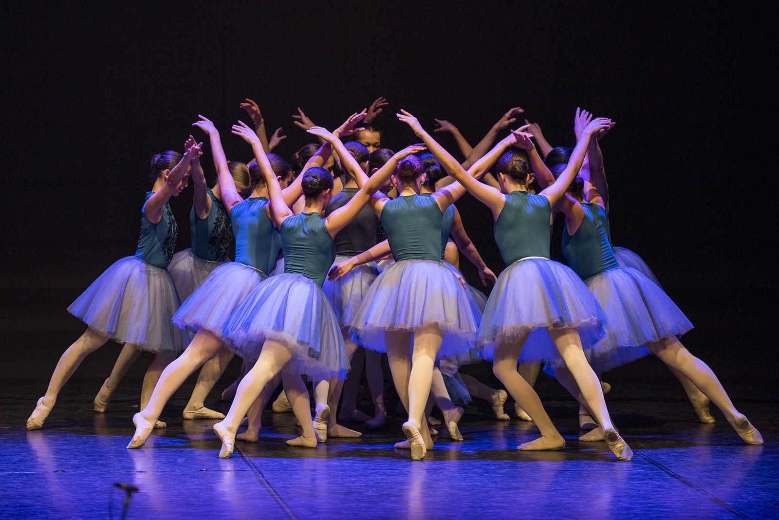 50 anys de Fusió al Teatre Auditori. FOTO: Bernat Millet.