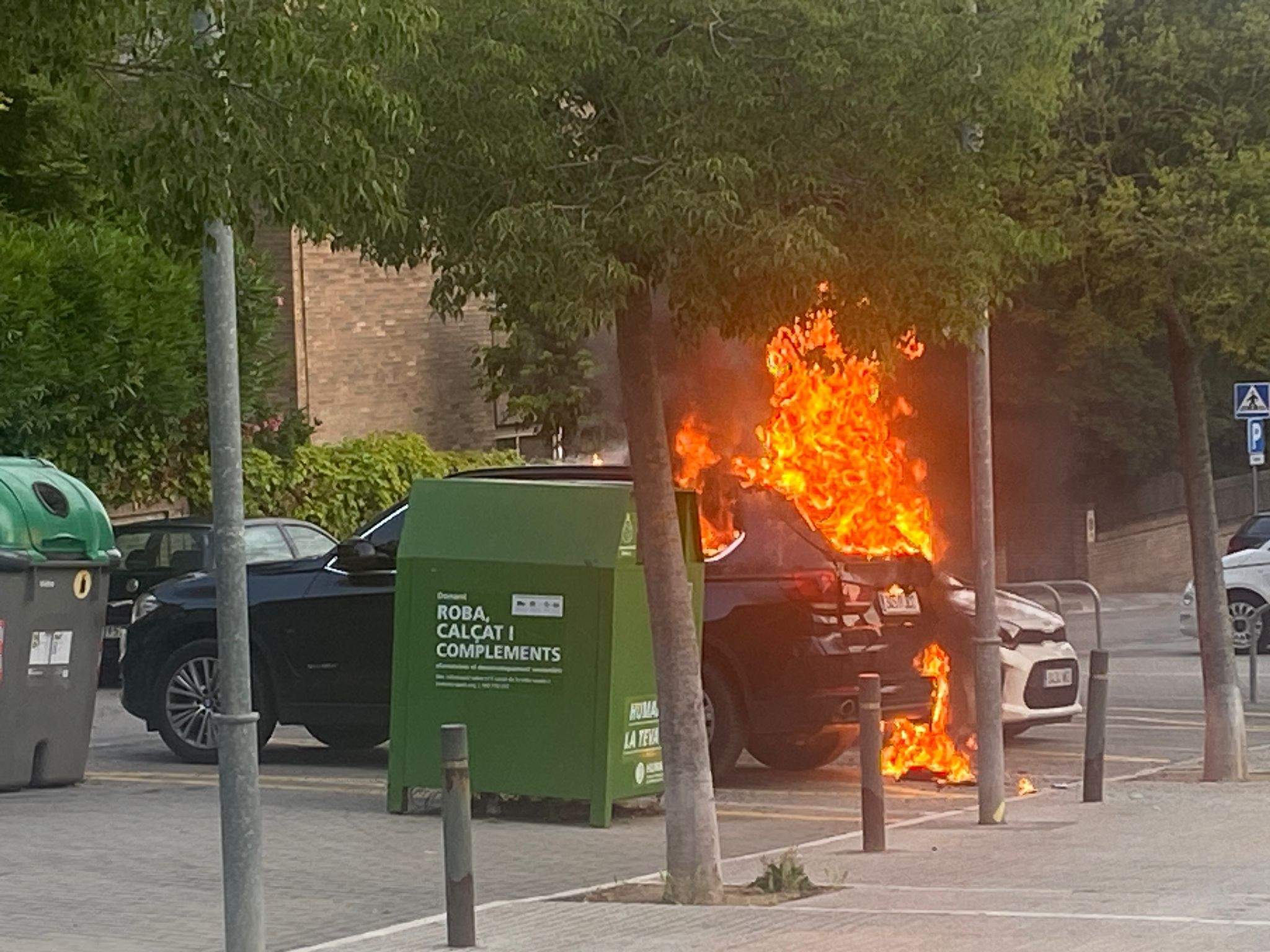 El foc ha cremat a tocar de l'escola Pi d'en Xandri FOTO: Cedida