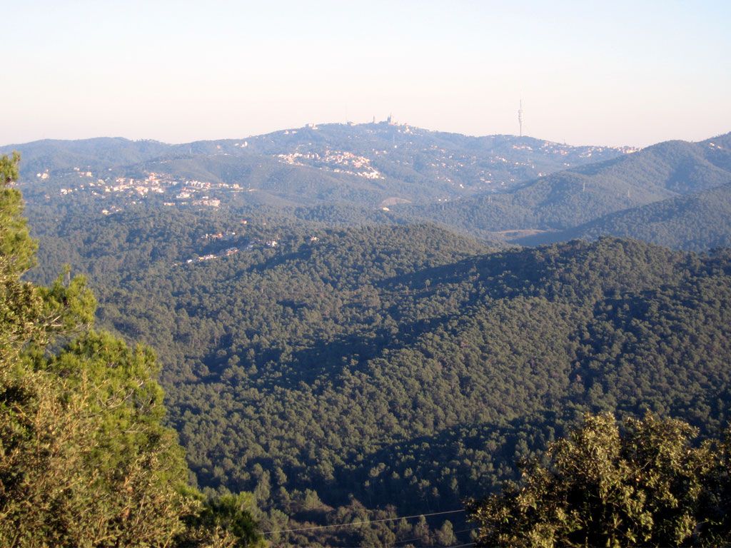 Vista general de Collserola
