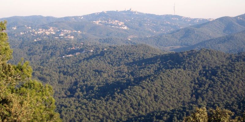 Vista general de Collserola