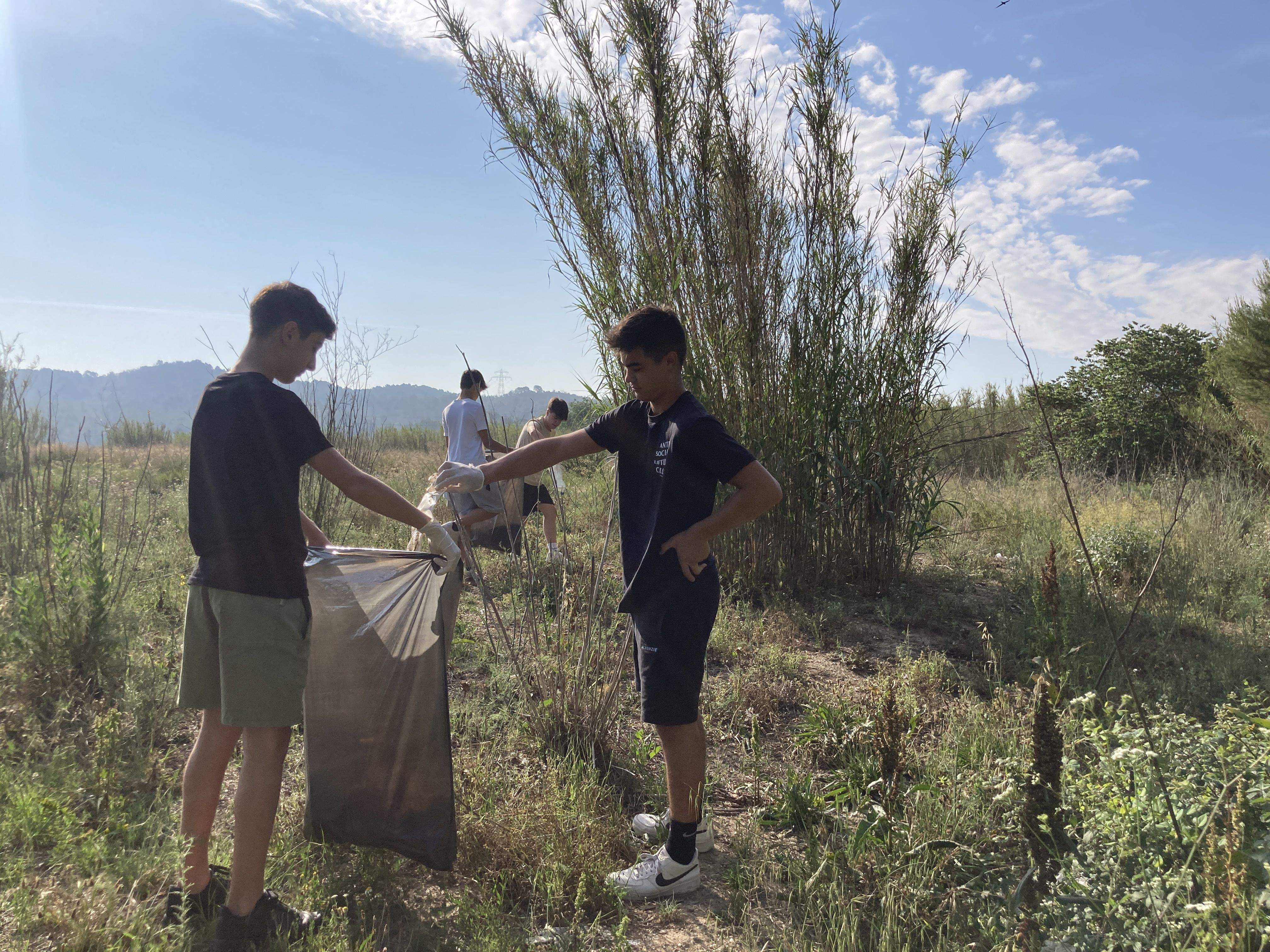 IMG 6207 (2) IMG 6207 (2)