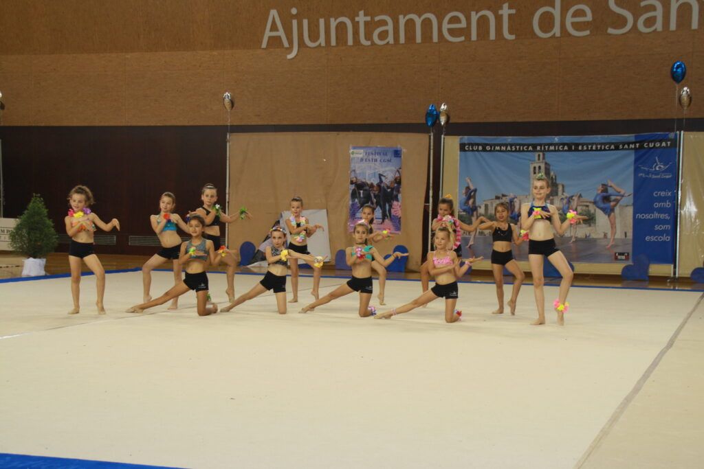 Actuació del Club Gimnàstica Rítmica i Estètica Sant Cugat. FOTO: Arxiu