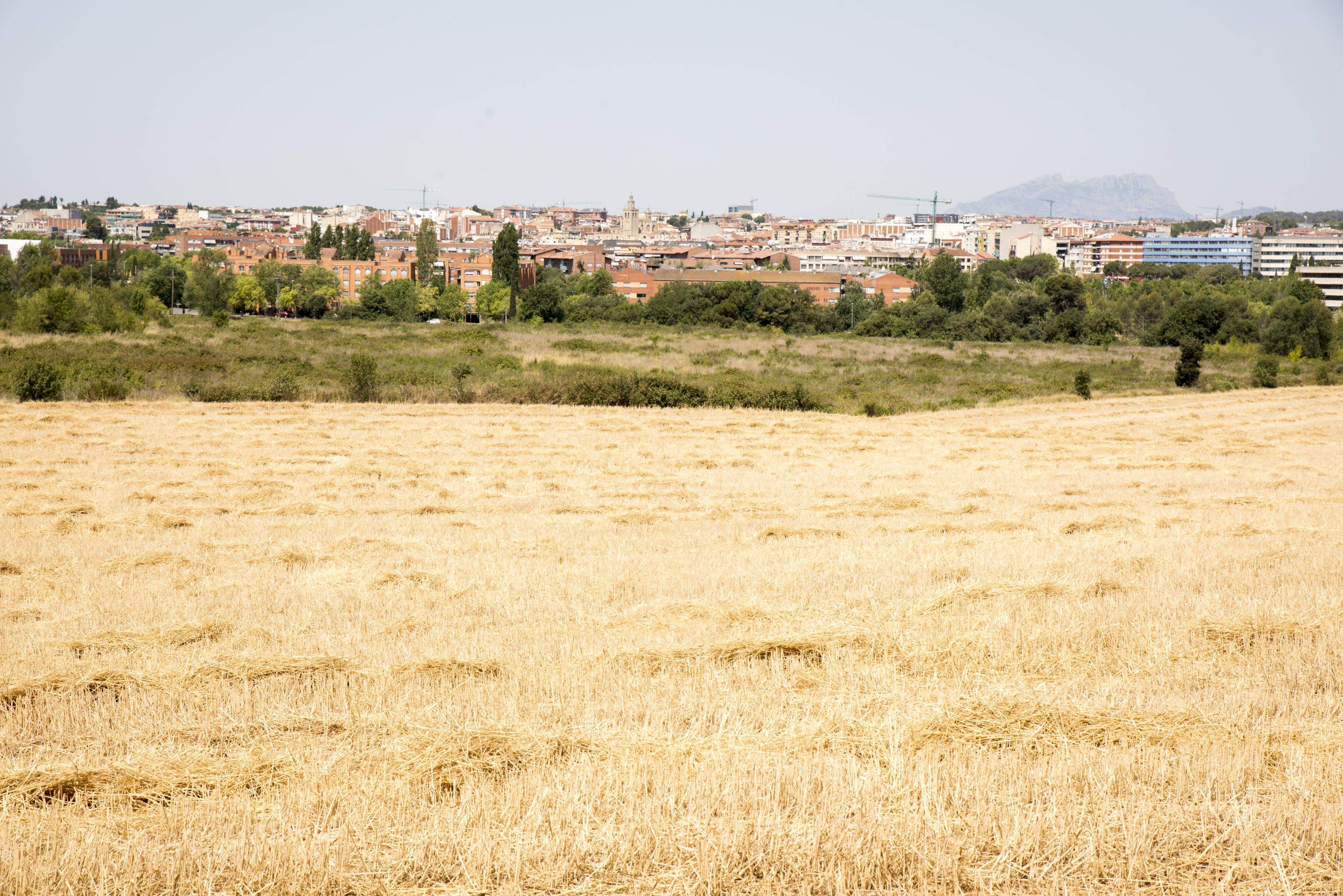 Temperatures altes i sol FOTO: Bernat Millet