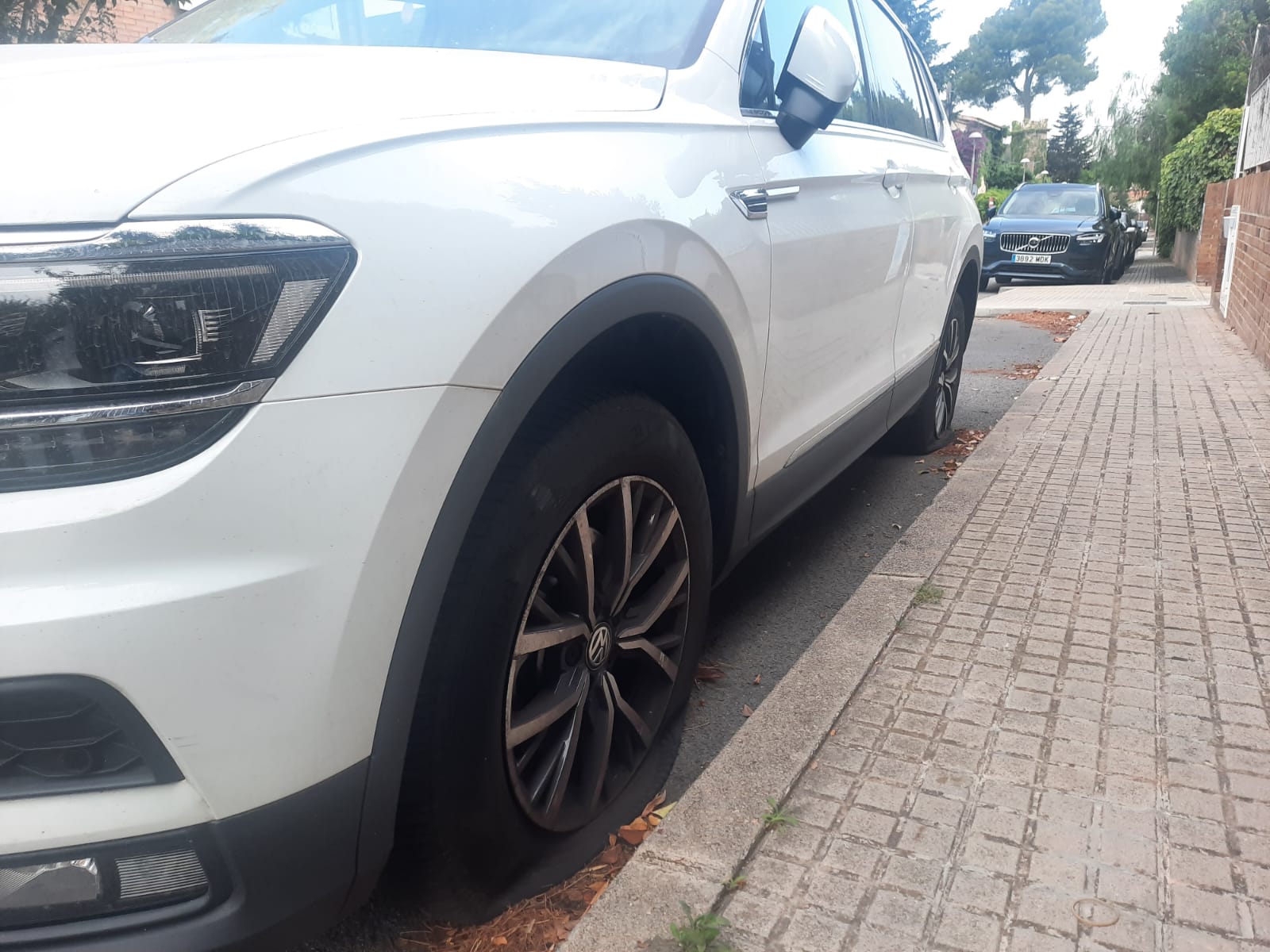 05ac8f9f 7121 45cd 9287 93e8ff59bf15