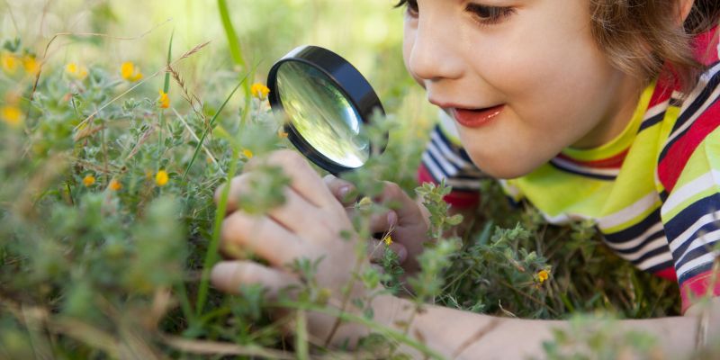 Fomentar la curiositat. FOTO: Cedida