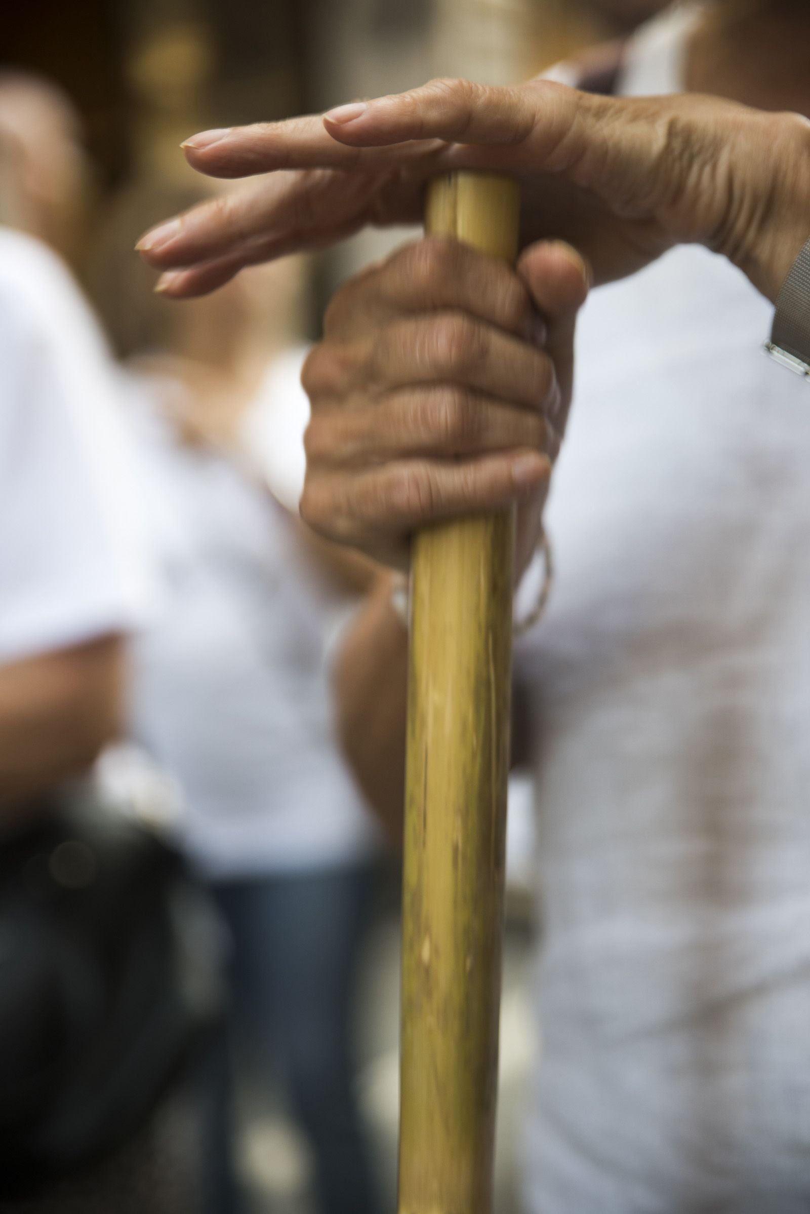  Cercavila amb canyes per a la foguera. FOTO: Bernat Millet.