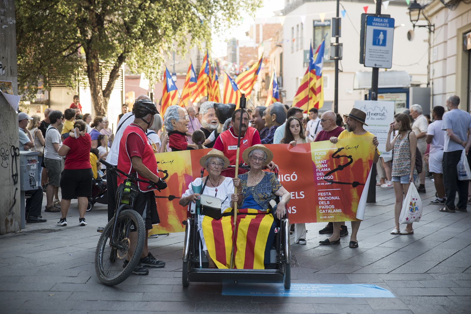 Cercavila amb canyes per a la foguera. FOTO: Bernat Millet.