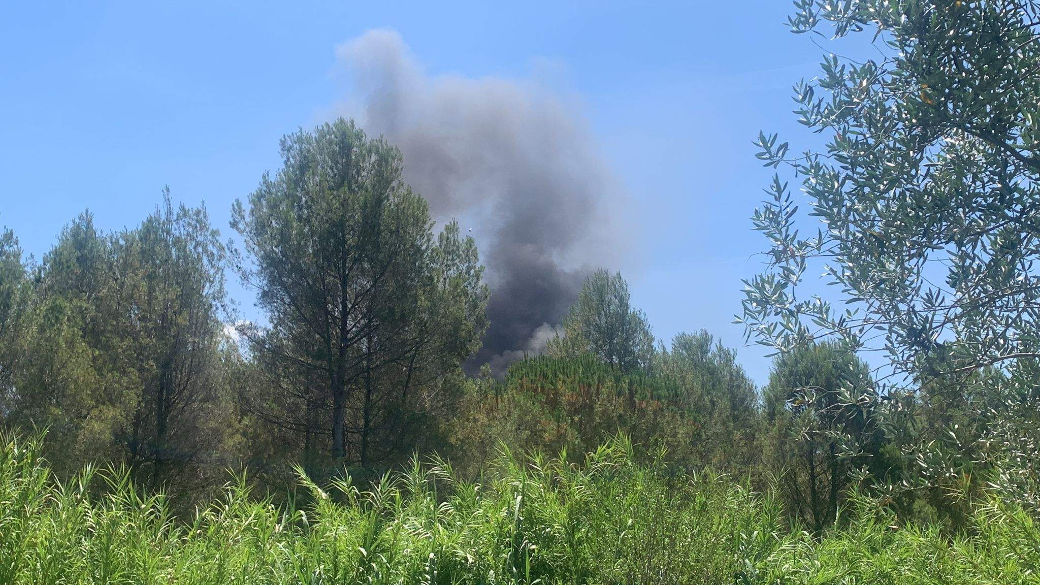 El foc afecta una zona boscosa de Valldoreix FOTO: Cedida