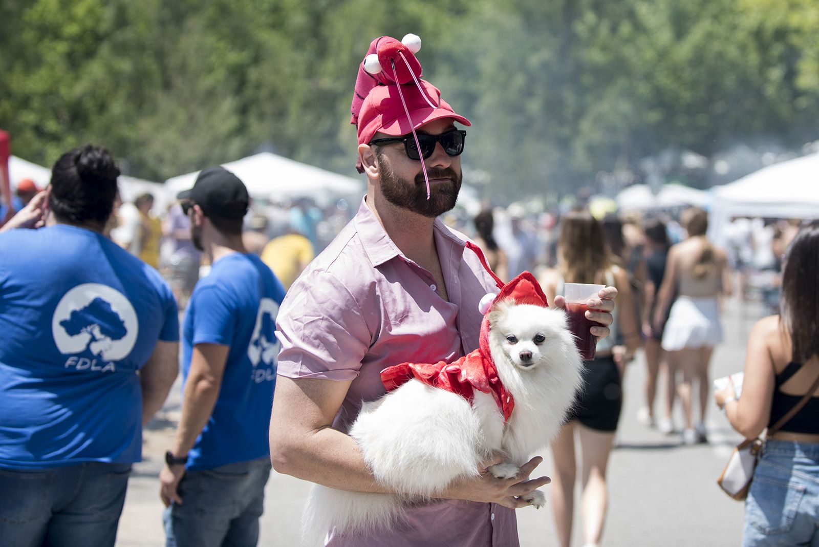 42è Concurs d'arrossos. FOTO: Bernat Millet.