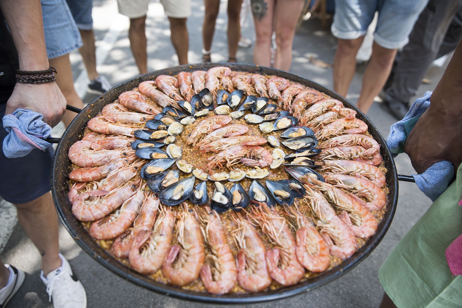 42è Concurs d'arrossos. FOTO: Bernat Millet.