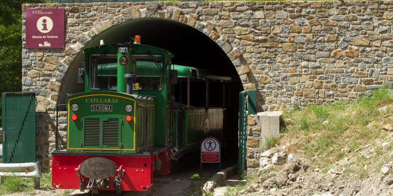Tren del ciment. FOTO: Oriol Molas