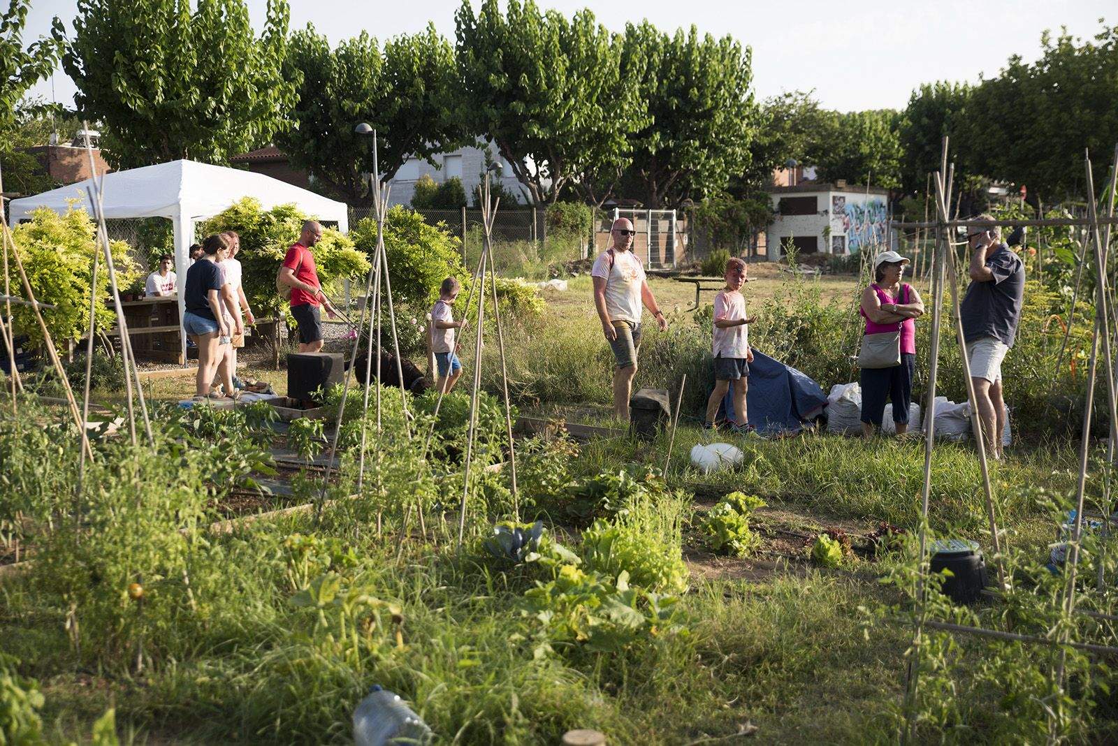 Portes obertes a l'hort de Mira sol. FOTO: Bernat Millet.
