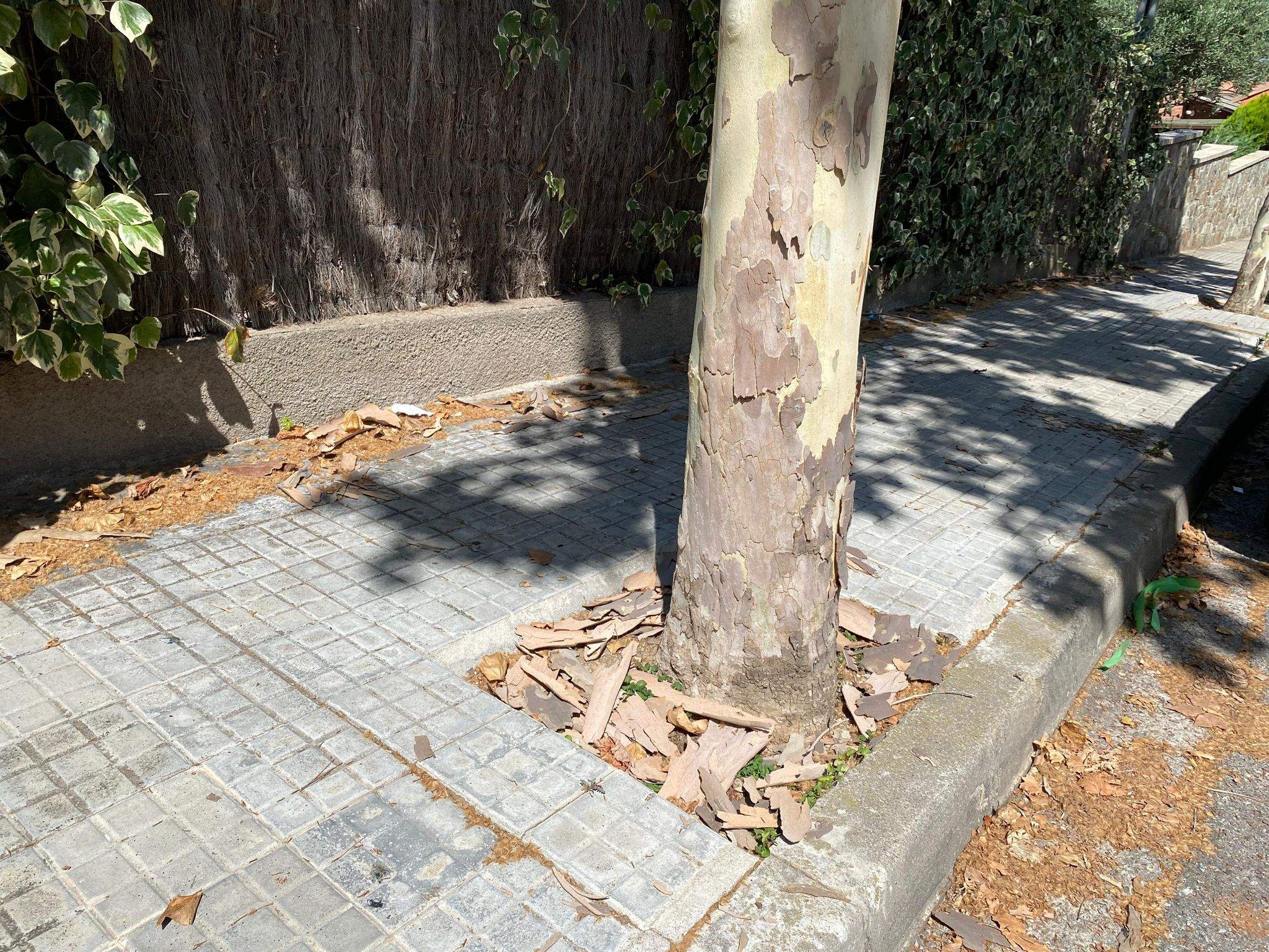 FOTO: TOT Sant Cugat