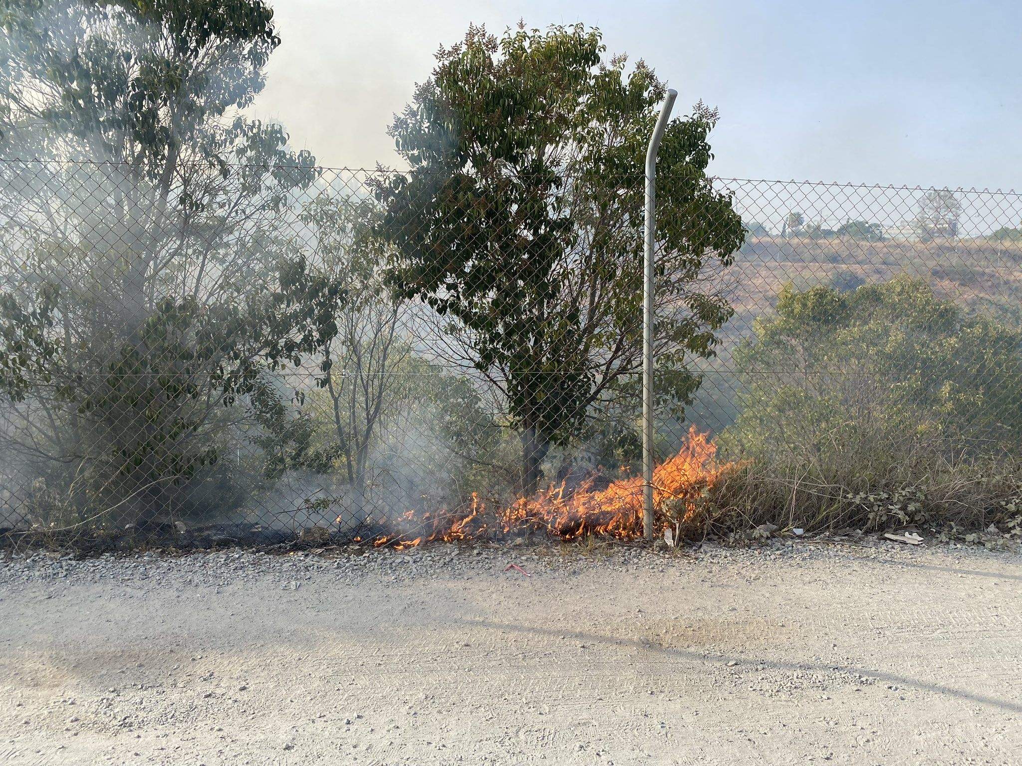 Cremen uns matolls a Sant Cugat. FOTO: ADF Sant Cugat