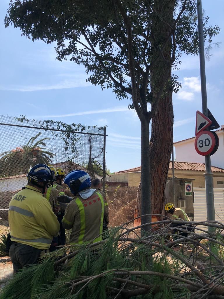 3b2843a8 b5a1 43df 9134 b2b27cf55be4