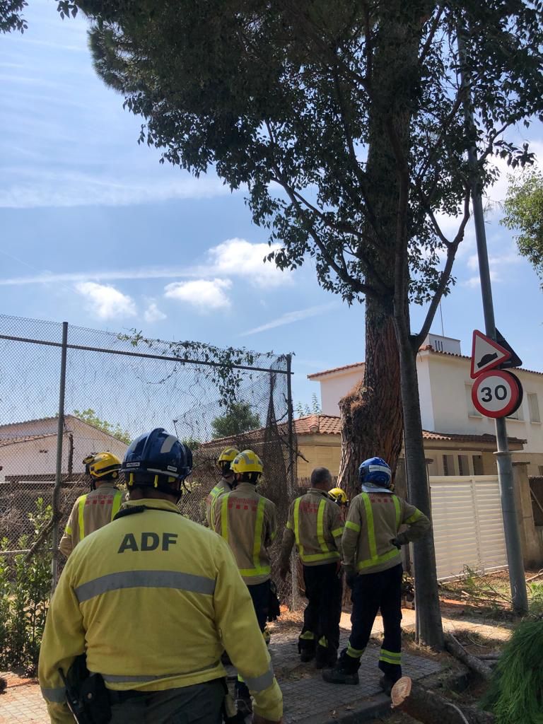 5cec3676 347b 4a54 81e9 cc587e82623d