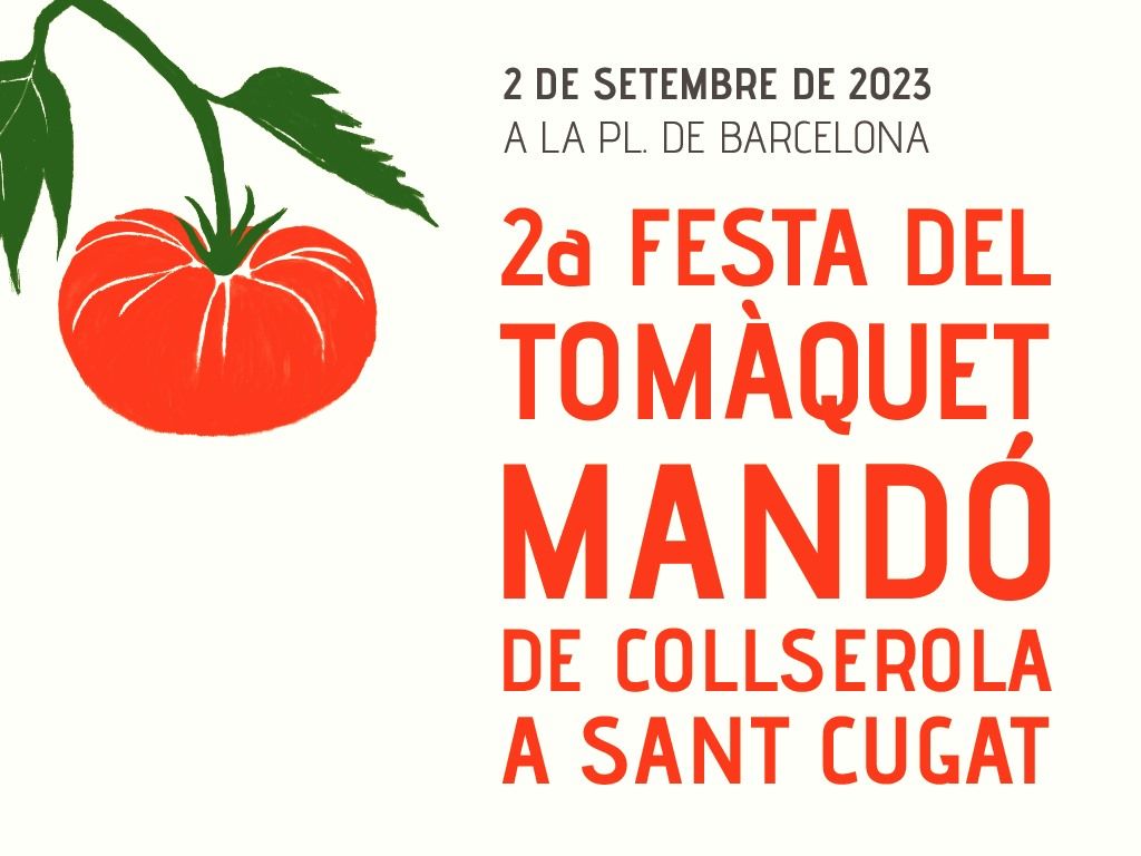 Cartell de la festa