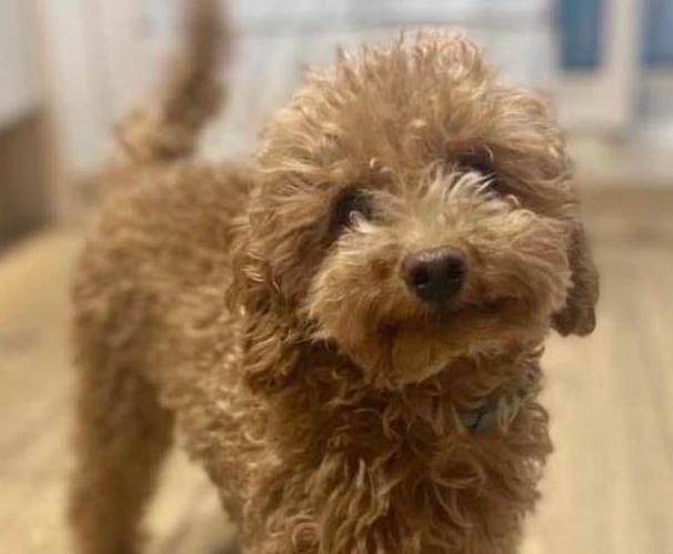 72b5889b f37e 49d2 b231 2cd8f86c27fe