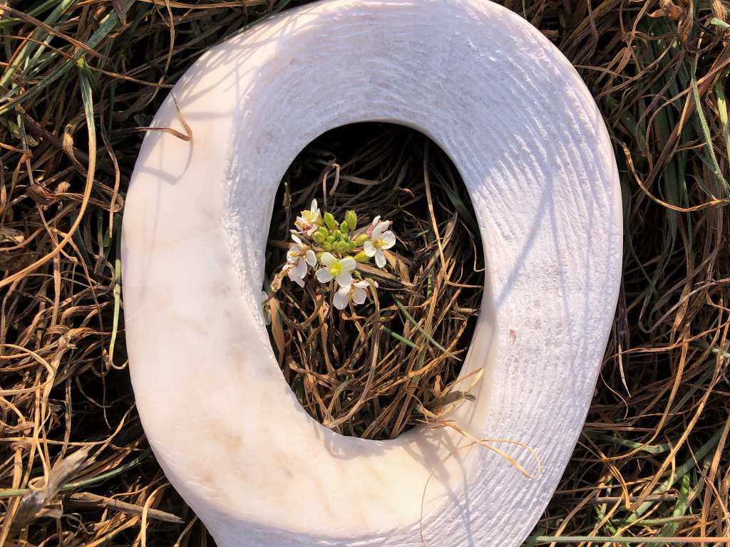 Una de les obres d'Eulàlia Llopart