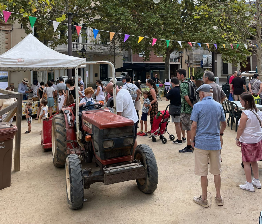 1a Festa del Tomàquet Mandó de Collserola FOTO: Alimentem Collserola