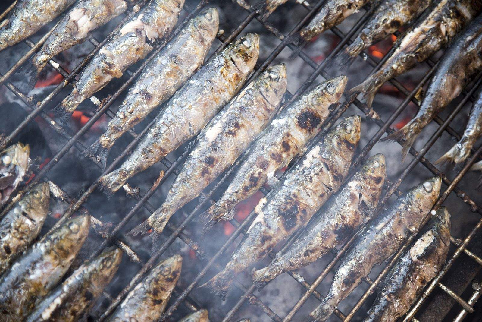 Sardinada i Botifarrada popular. FOTO: Bernat Millet.