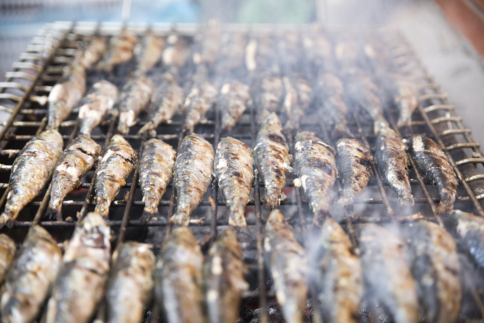 Sardinada i Botifarrada popular. FOTO: Bernat Millet.