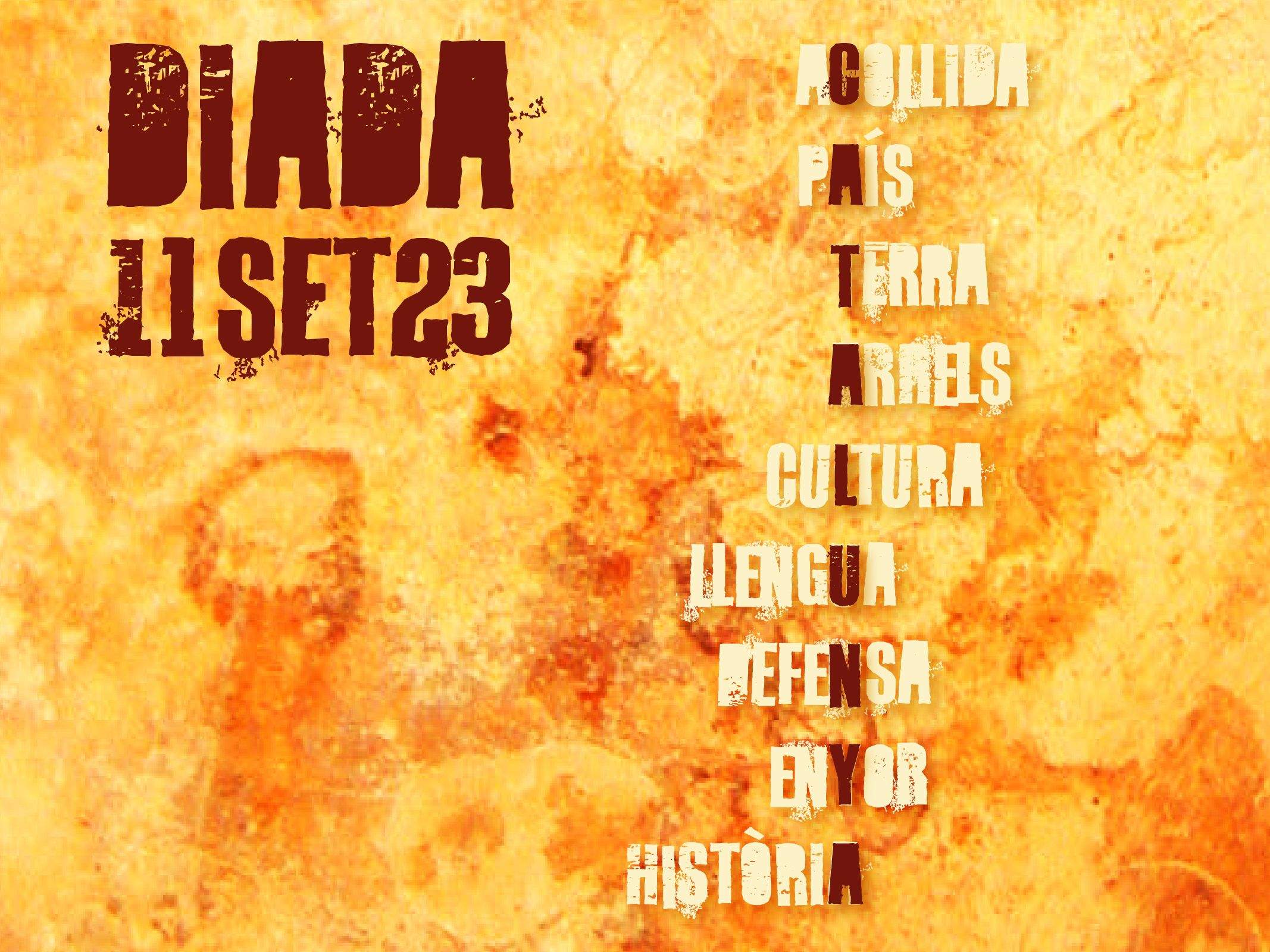 Diada Nacional de Catalunya 2023