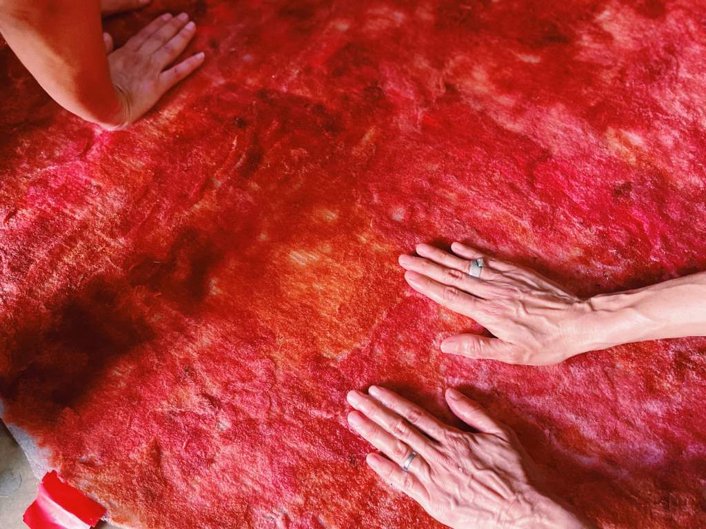 Presentació de Placenta