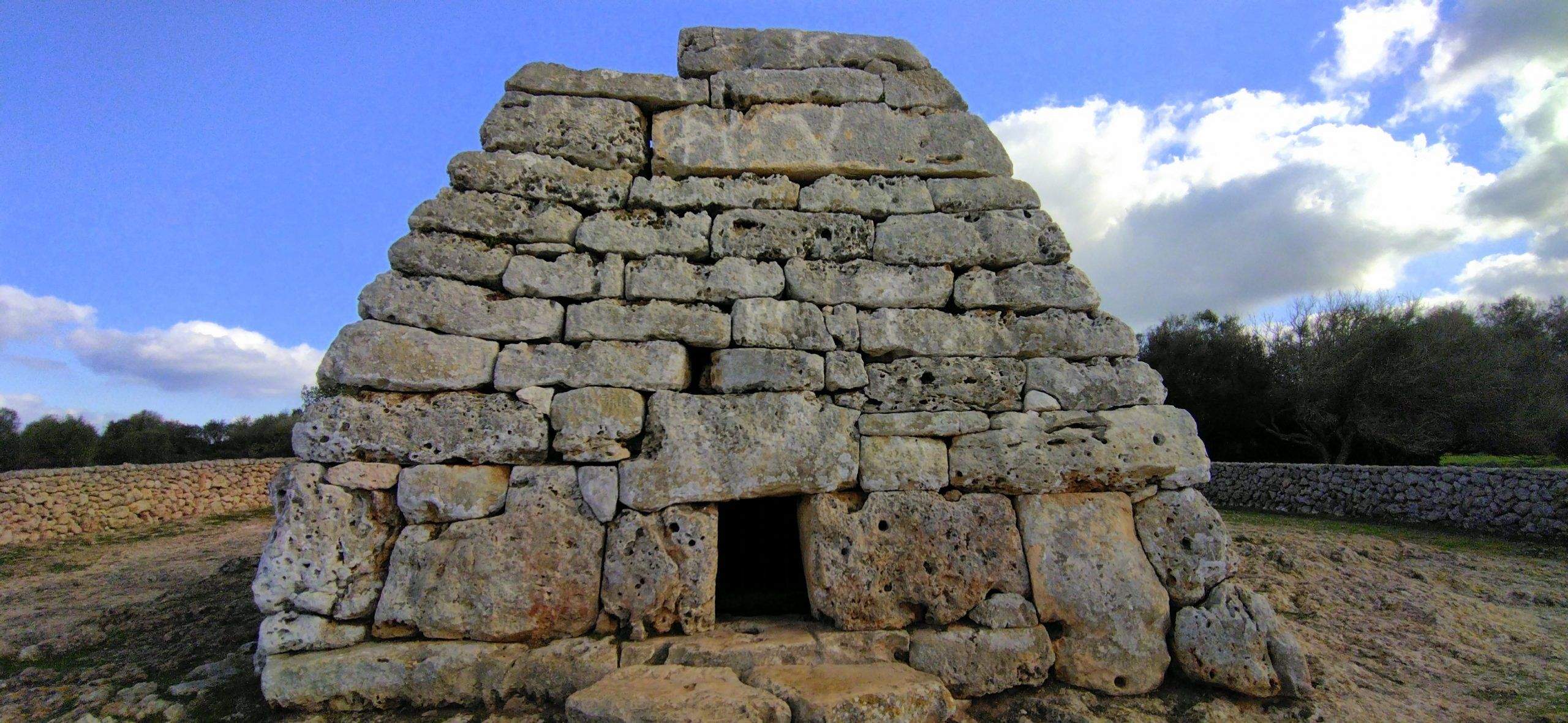 amics de la unesco FOTO: Cedida