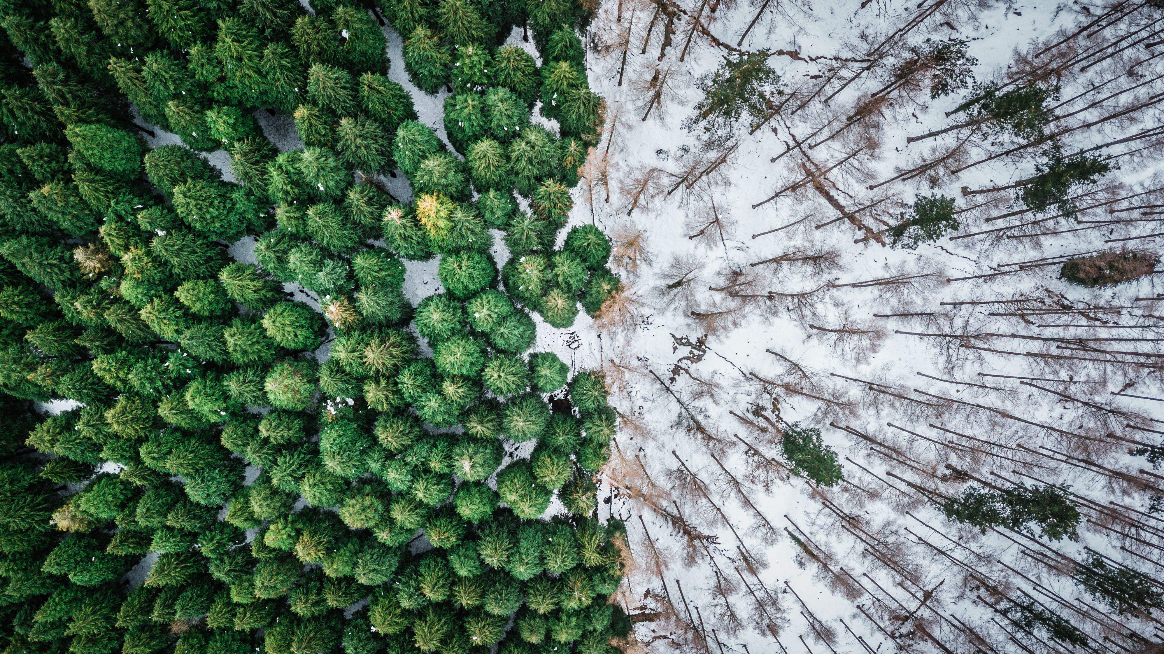 Nova era FOTO istock