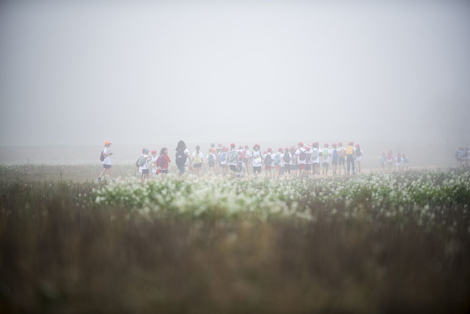 La Marxa Infantil. FOTO: Bernat Millet.