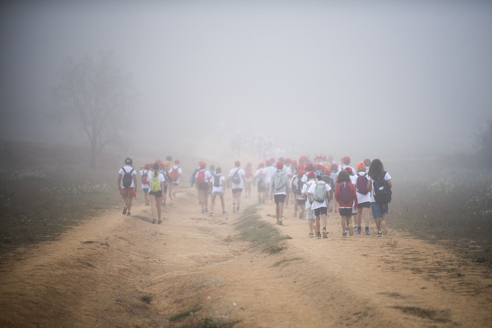 La Marxa Infantil. FOTO: Bernat Millet.