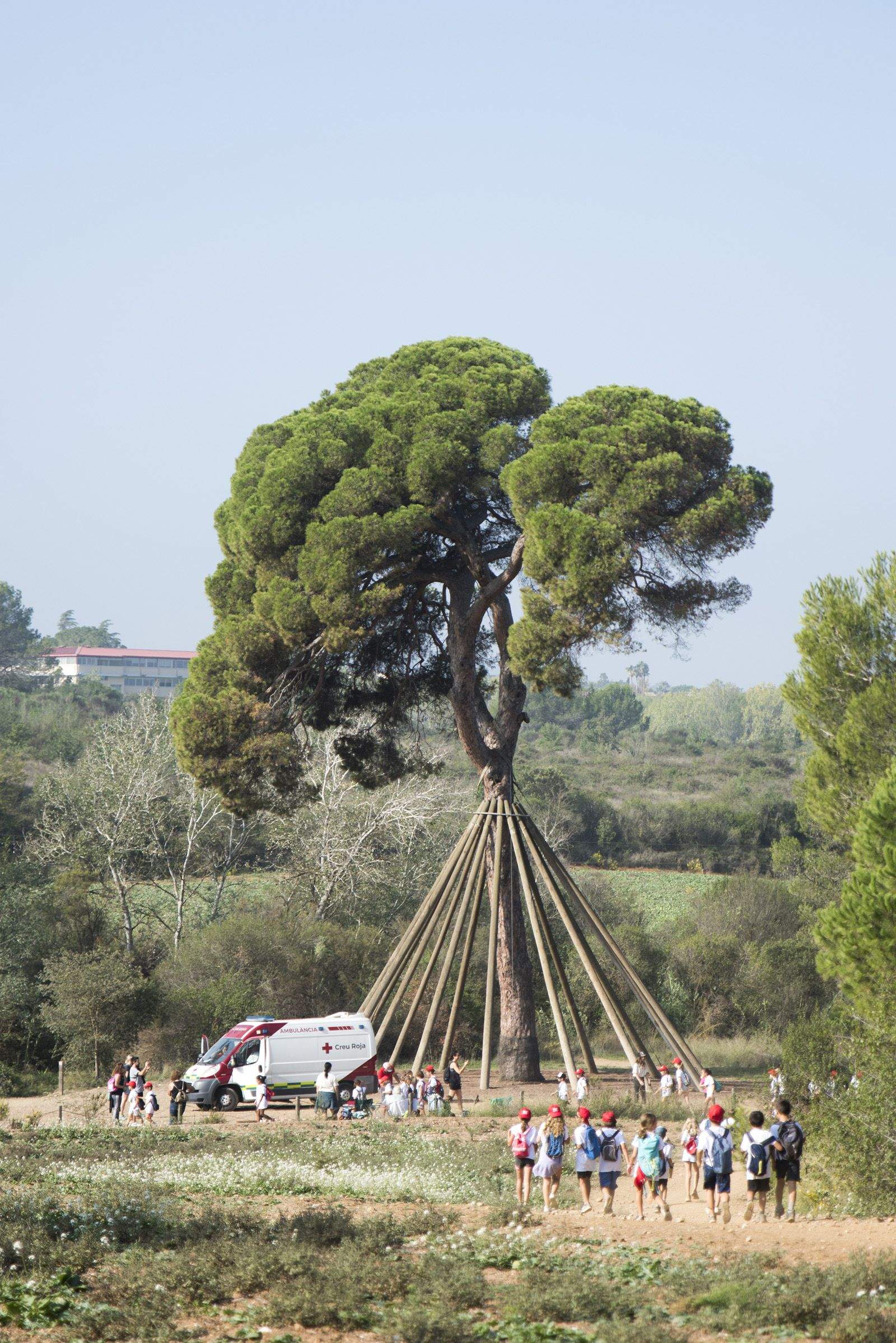 La Marxa Infantil. FOTO: Bernat Millet.