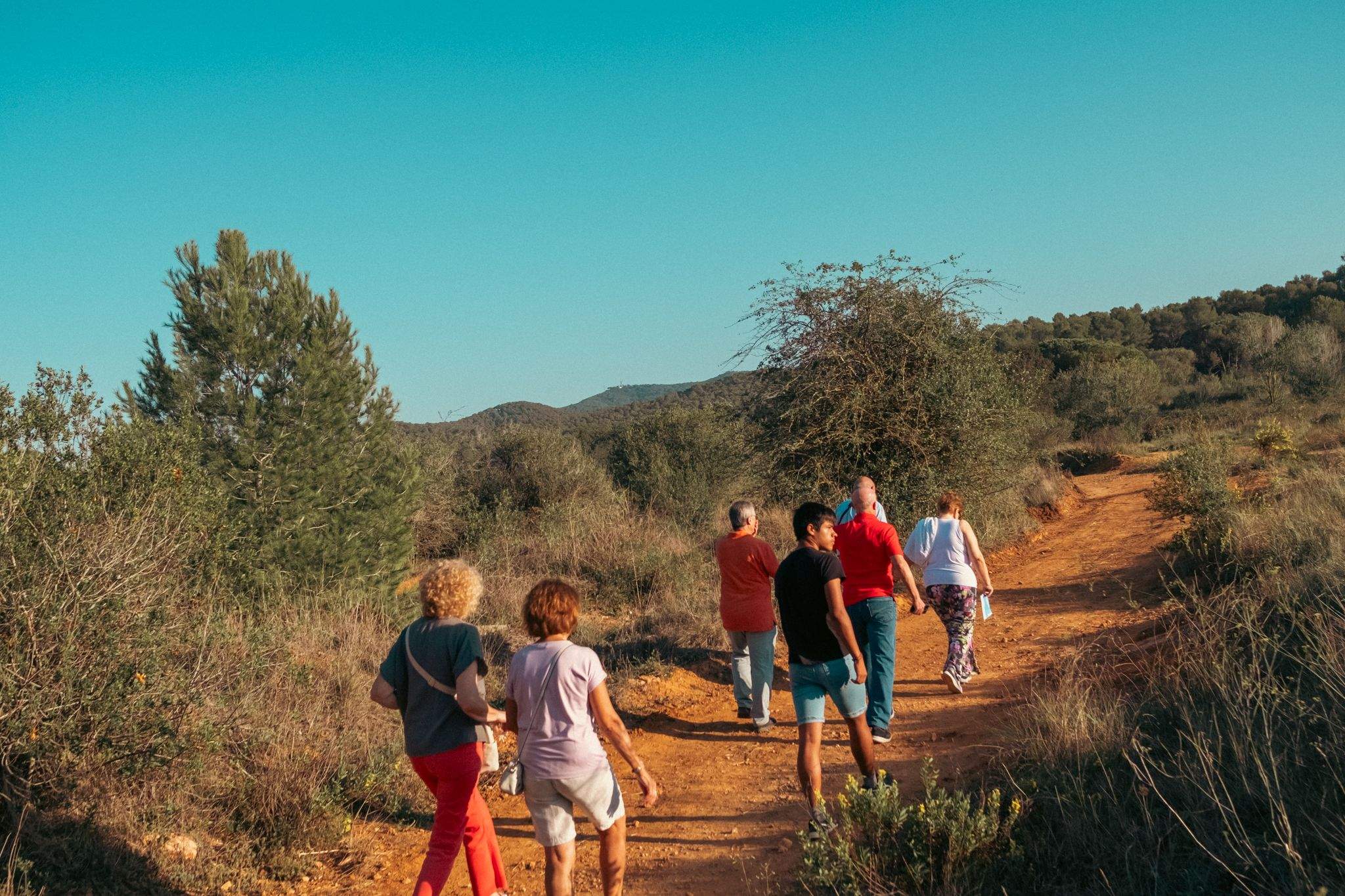 Visita guiada prèvia a Torre Negra. FOTO: Ale Gómez