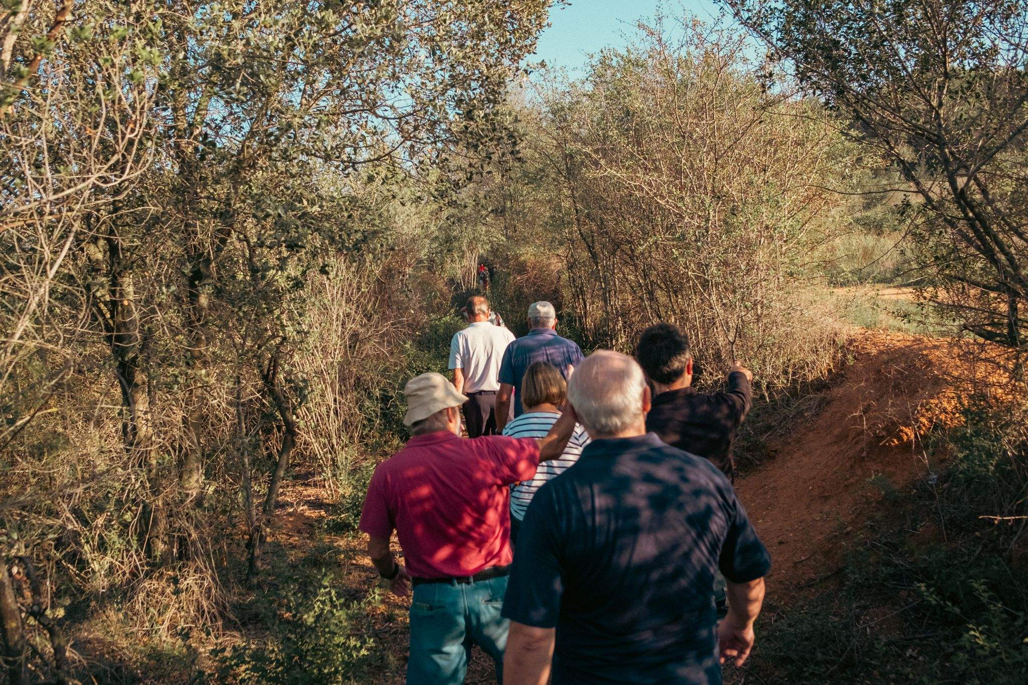 Visita guiada prèvia a Torre Negra. FOTO: Ale Gómez