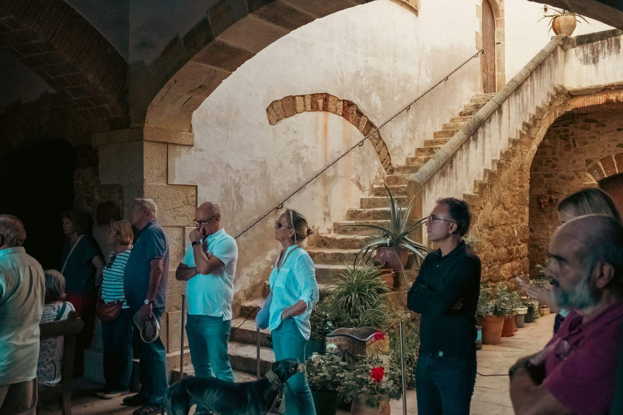 Visita guiada prèvia a Torre Negra. FOTO: Ale Gómez
