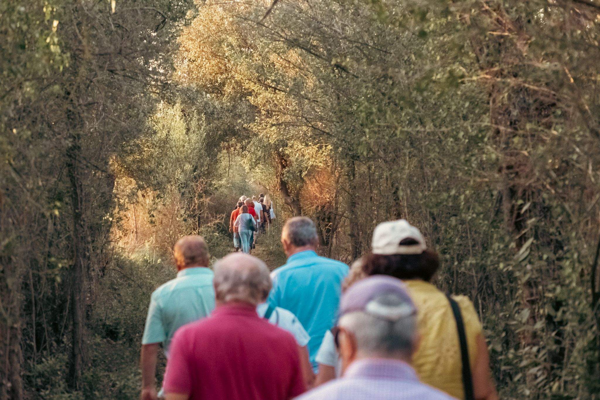 Visita guiada prèvia a Torre Negra. FOTO: Ale Gómez